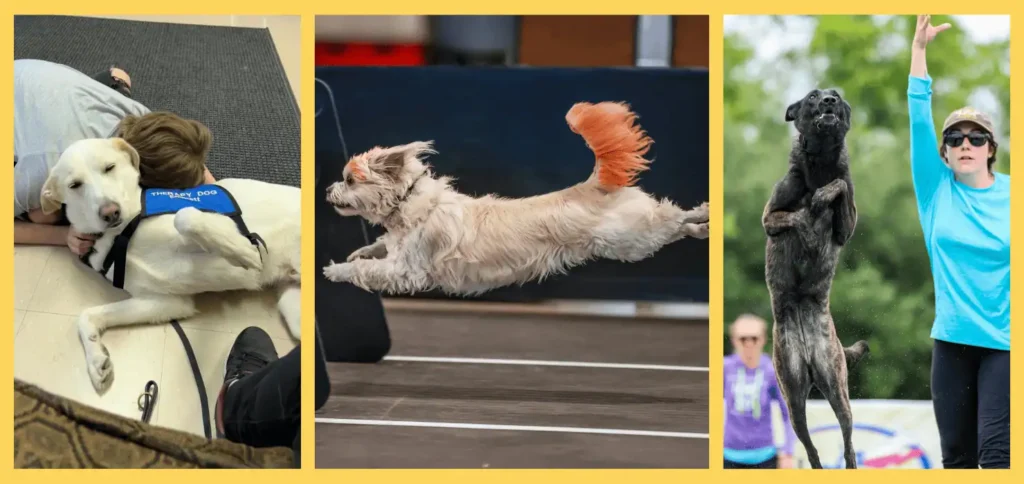 Emmett, Eugene, and Kerrigan Morgan