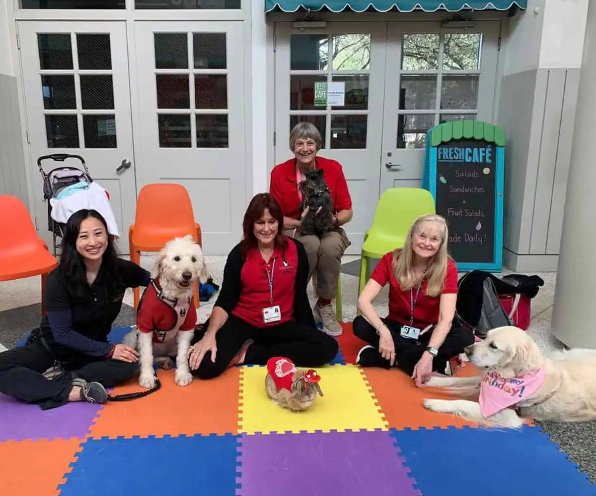 Faithful Paws teams on a visit