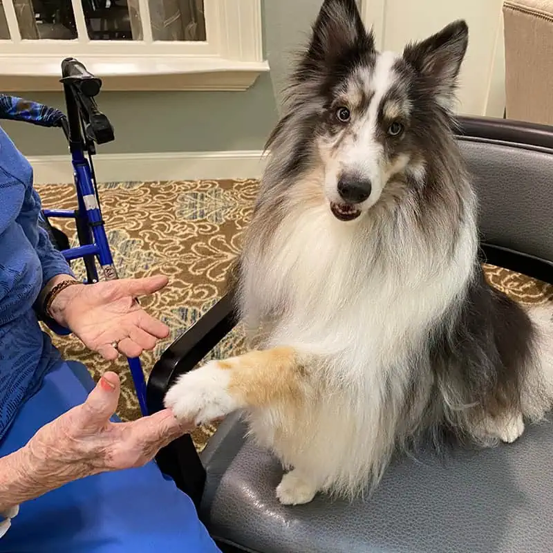 Kyrie at Parkway Place