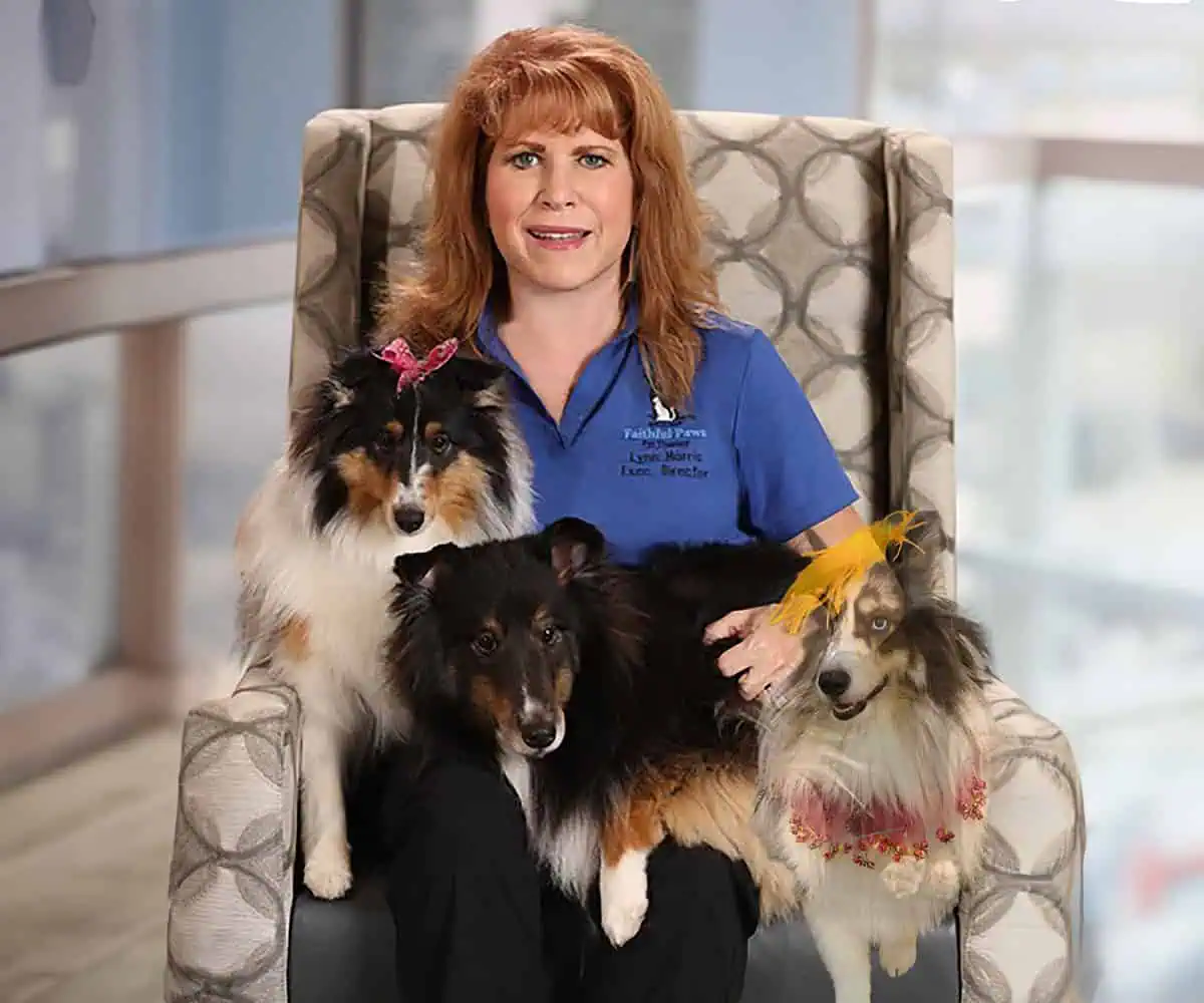 Lynn, Presto, Rhapsody, and Kyrie