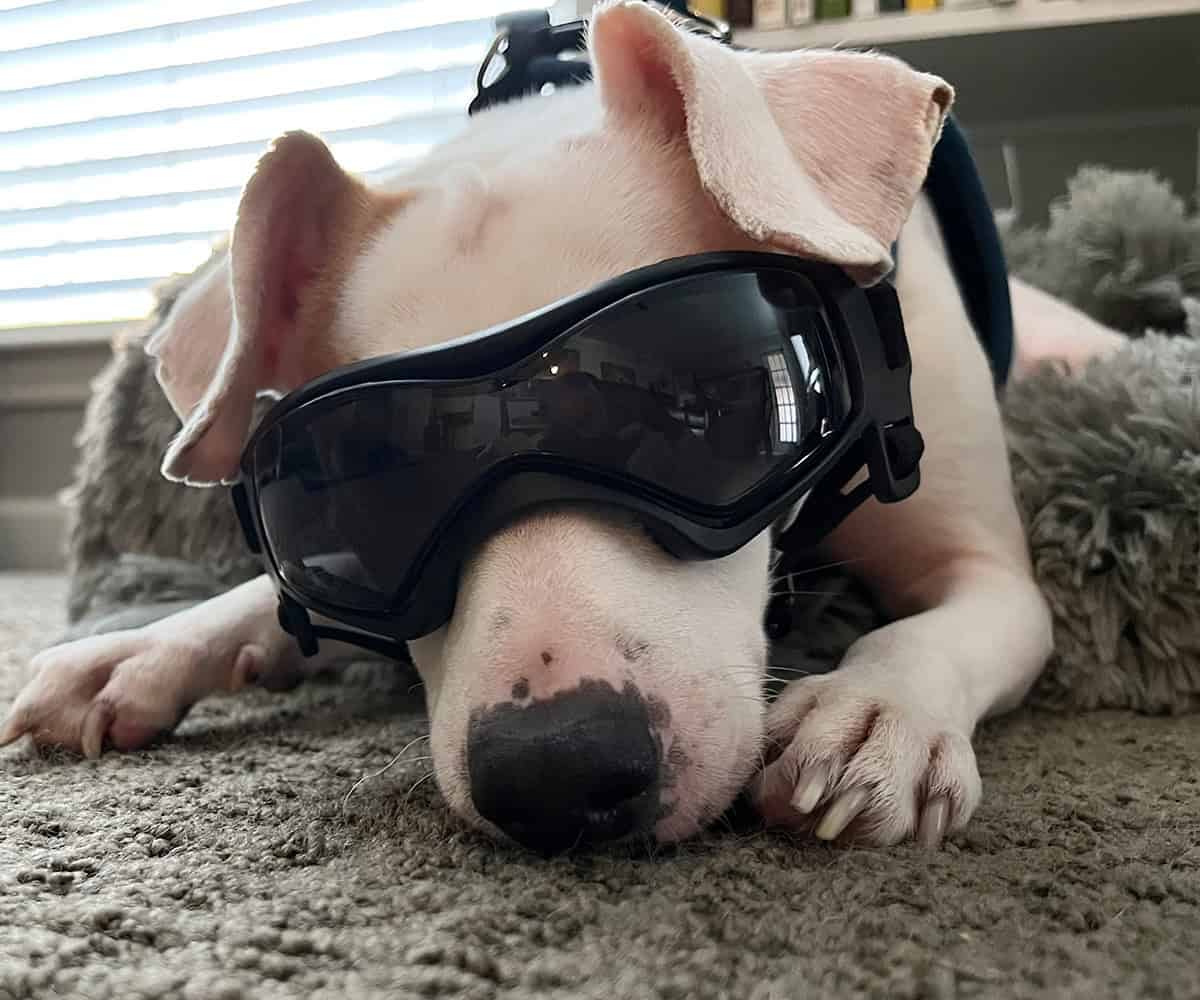 Oliver wearing dark glasses