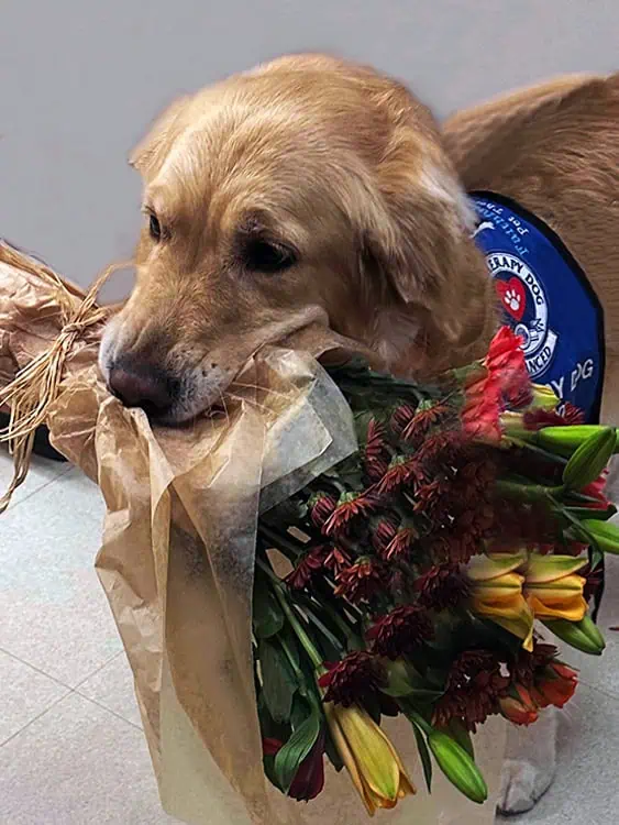 Teddi holding flowers