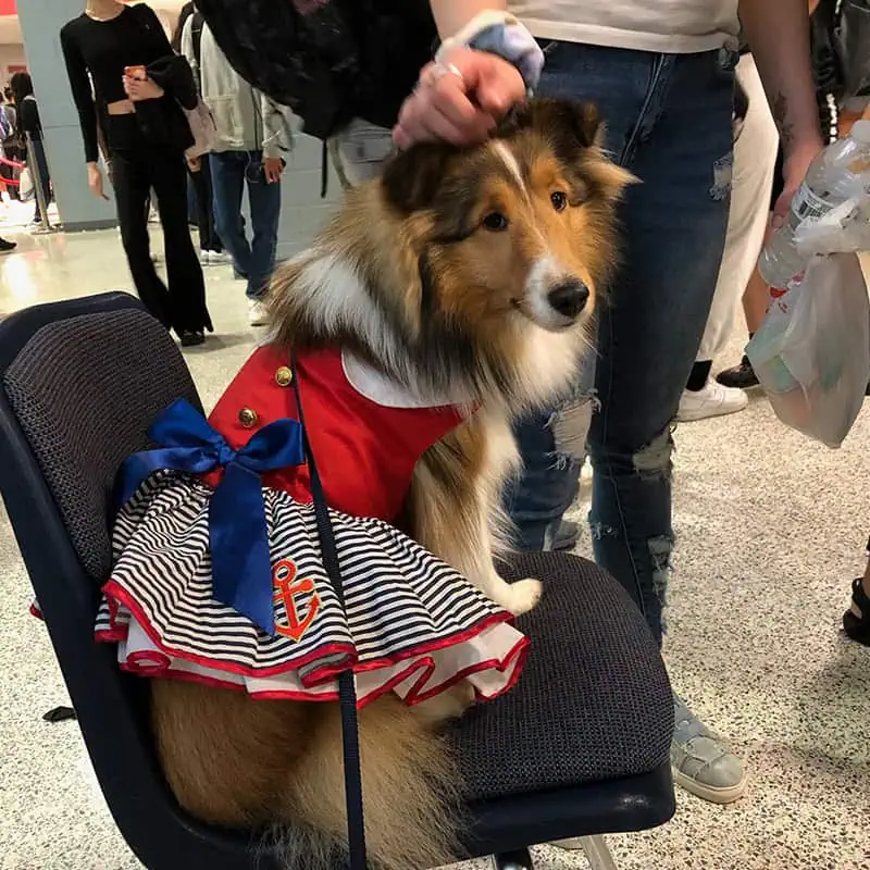 Twyla Williard at Travis HS